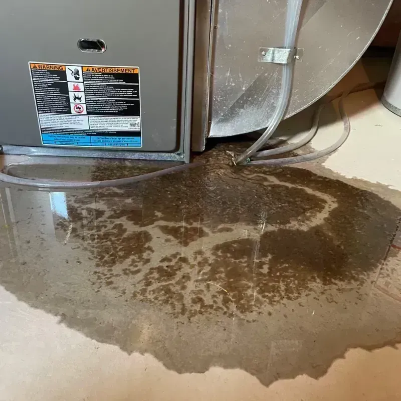 Appliance Leak Cleanup in Henry, IL